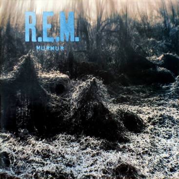 rem murmur