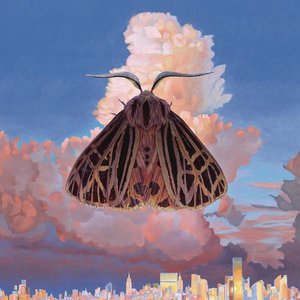 10. Chairlift - Moth [Columbia]