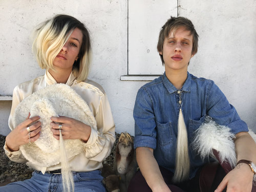 ANMLPLNET by Charlotte Chanler 6.jpg