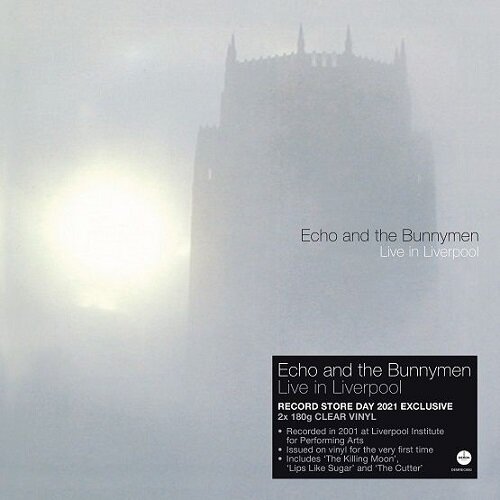 Echo & the bunnymen live in liverpool.jpeg